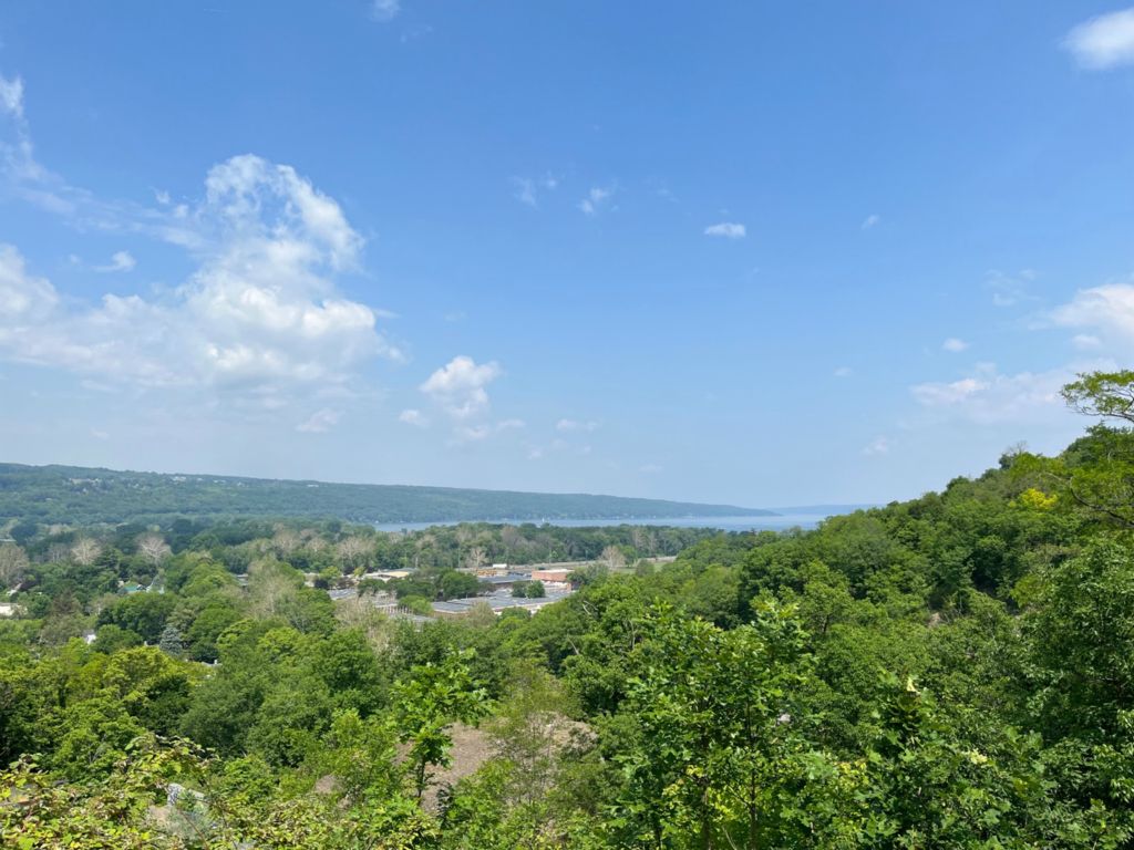 Fantastic view down to the lake from the backyard